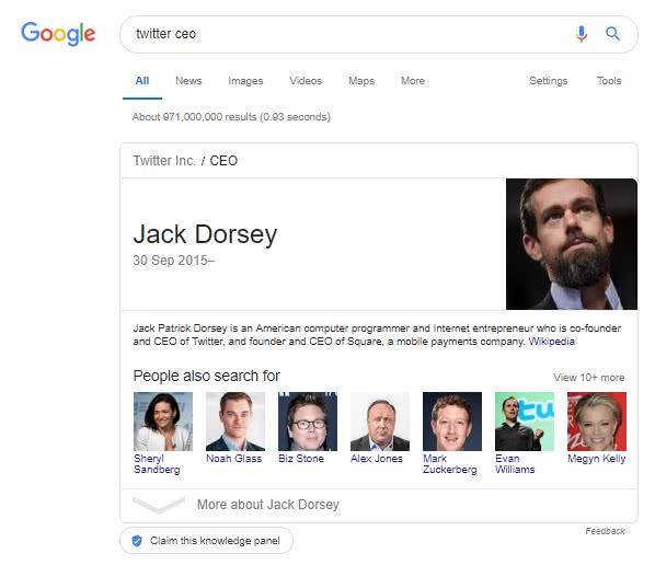 Google search results for Twitter CEO